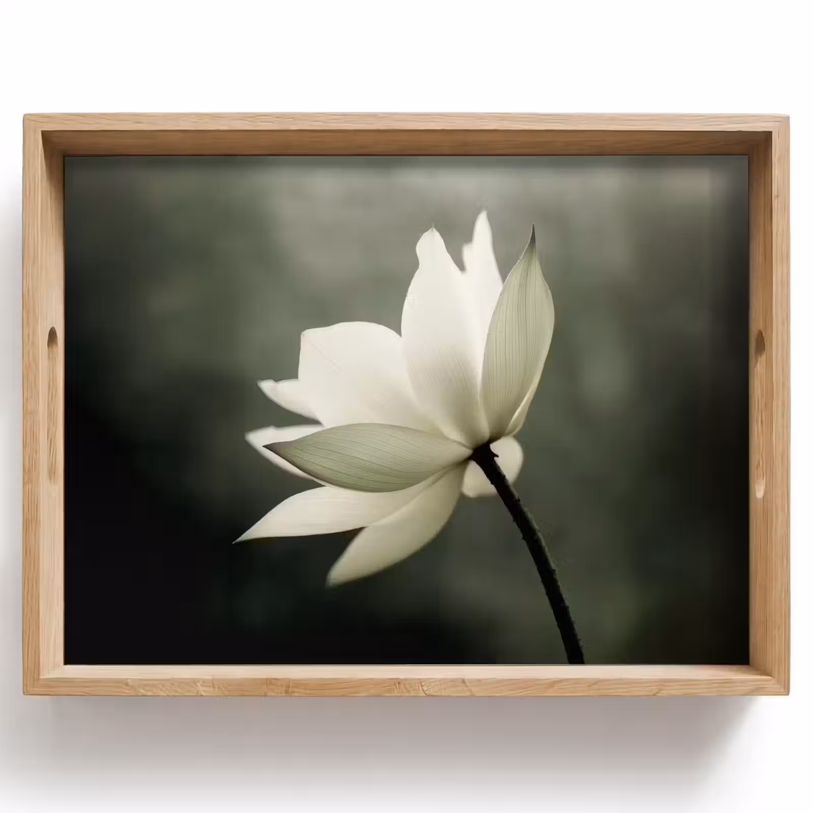 Dienblad - Wit - Lotus - Donker - Bloem — 1