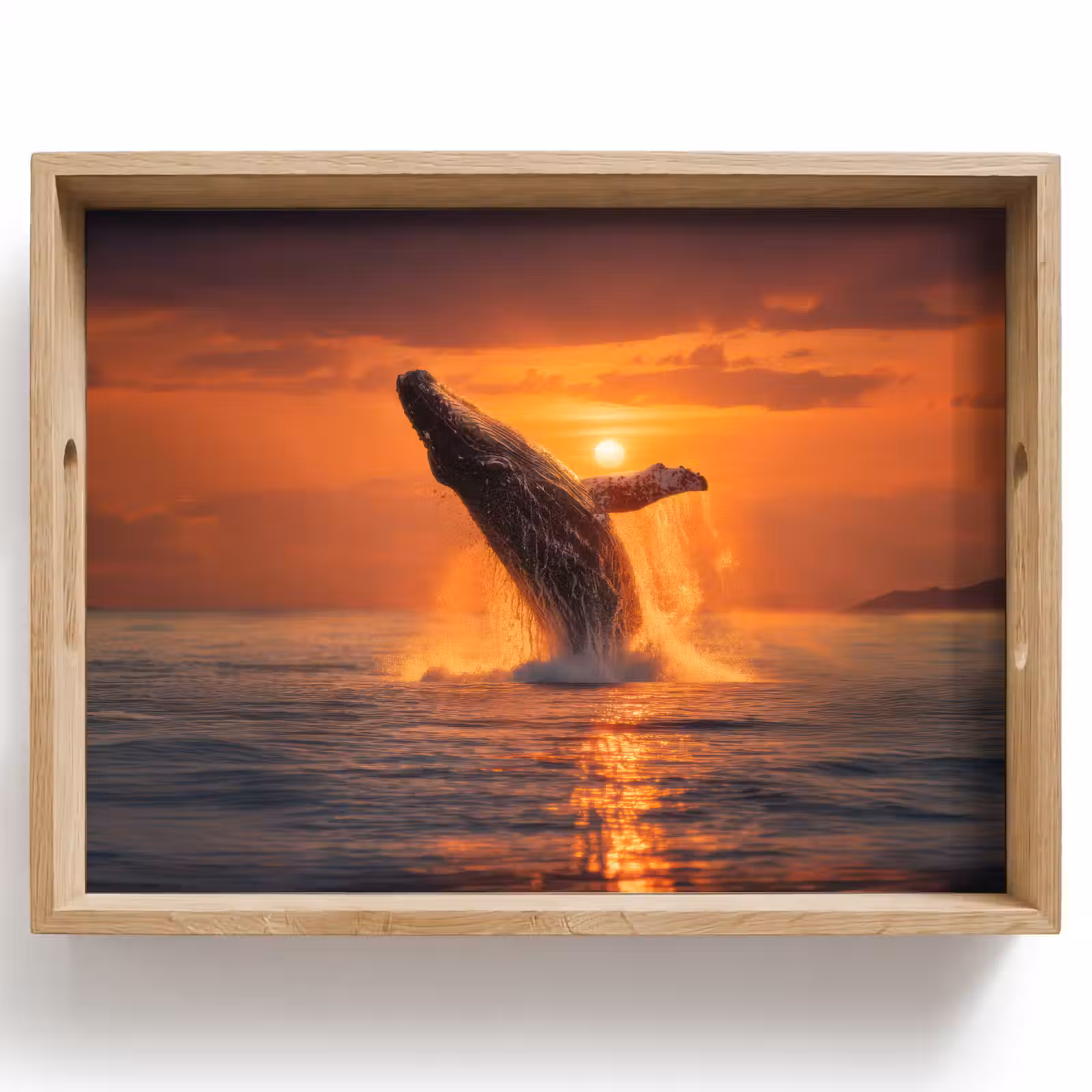 Dienblad - Walvis - Zon - Zee — 1