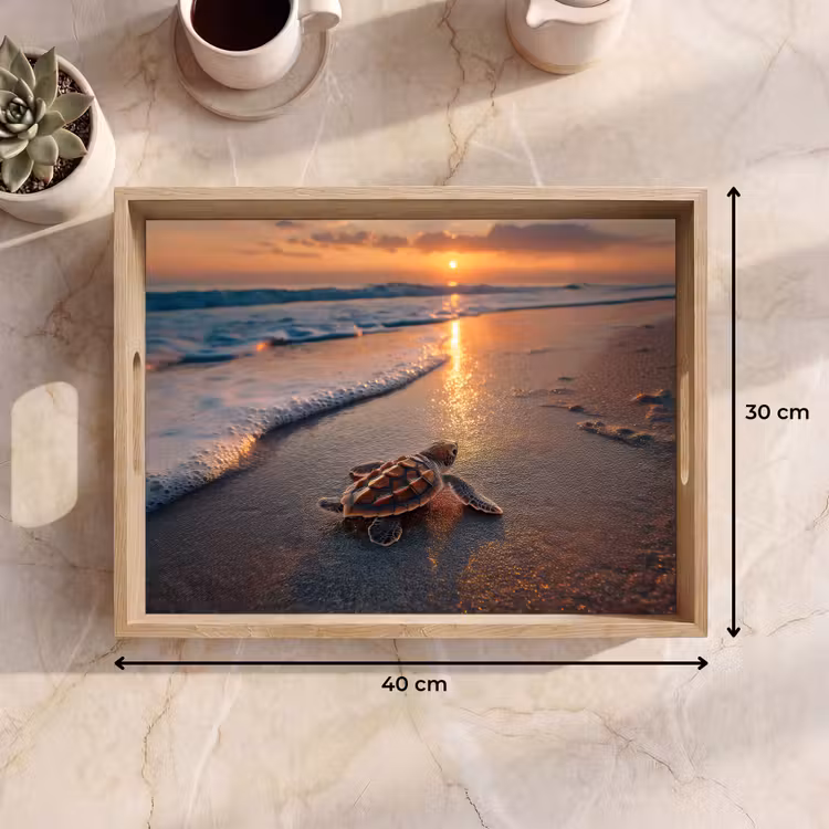 Dienblad - Schildpad - strand - Zonsondergang — 9