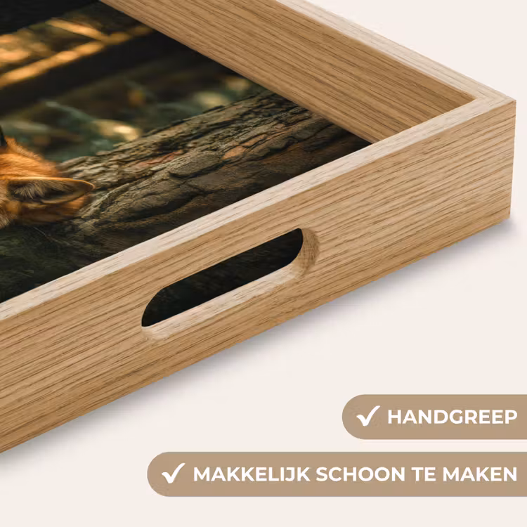 Dienblad - Vos - Bos - Slapen — 5
