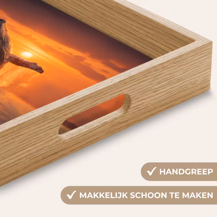 Dienblad - Walvis - Zon - Zee — 5