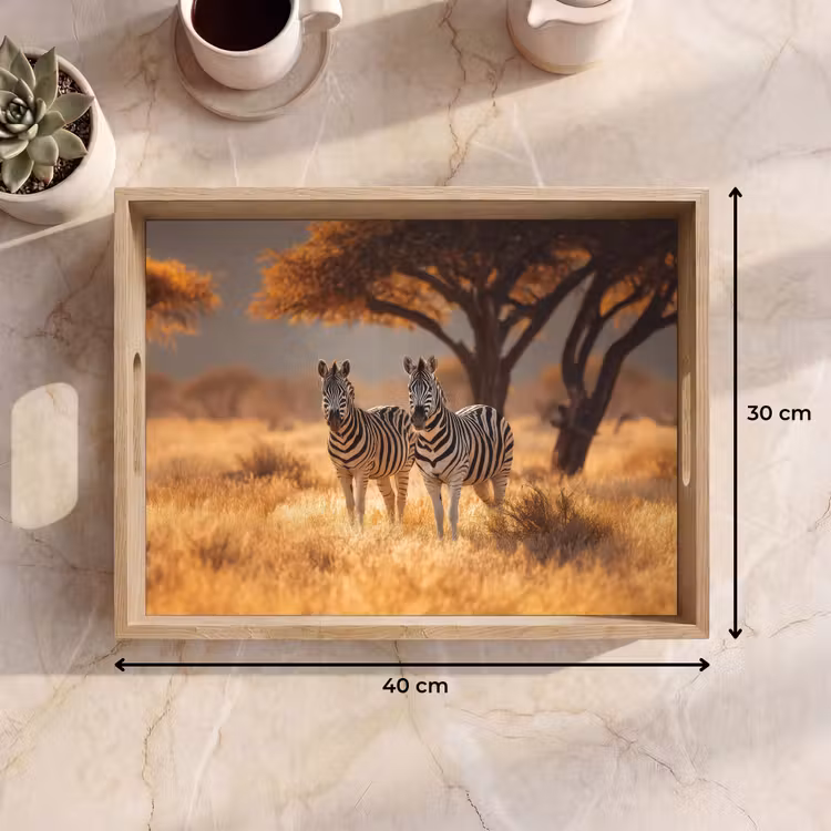 Dienblad - Zebra's - Savannelandschap - Gras — 9