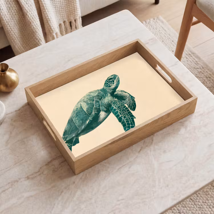 Dienblad - Schildpad - Sierlijk - Groen - Schild — 2