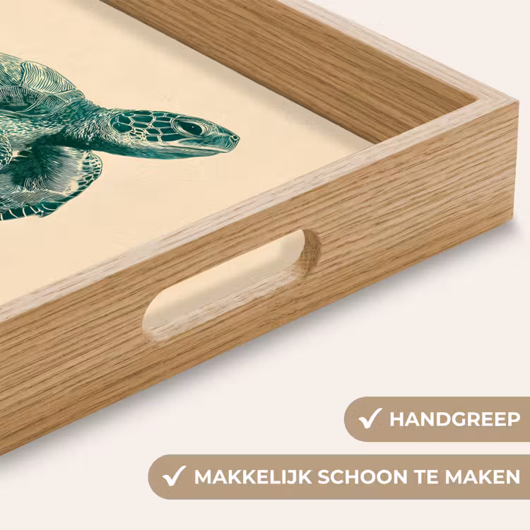 Dienblad - Schildpad - Sierlijk - Groen - Schild — 5