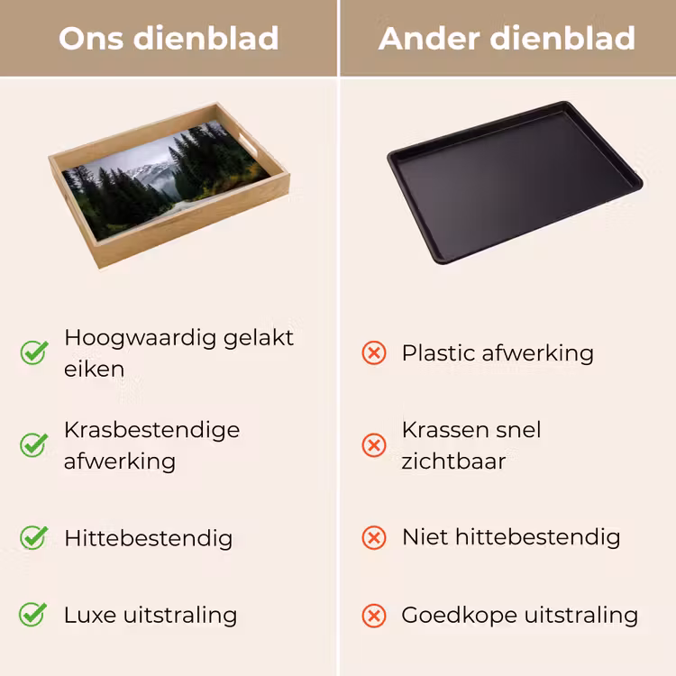 Dienblad - Sparrenbos - Weg - Bergen - Sneeuw — 3