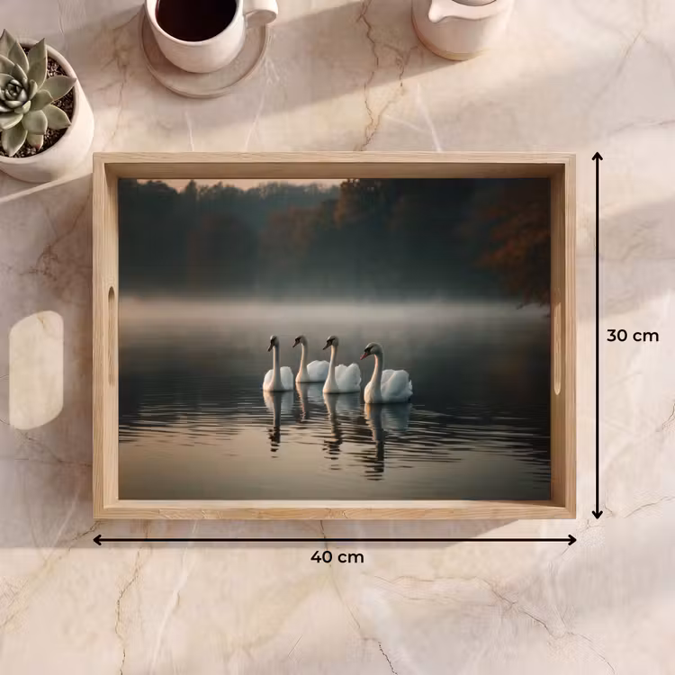 Dienblad - Zwanen - Wit - Water - Mist — 9