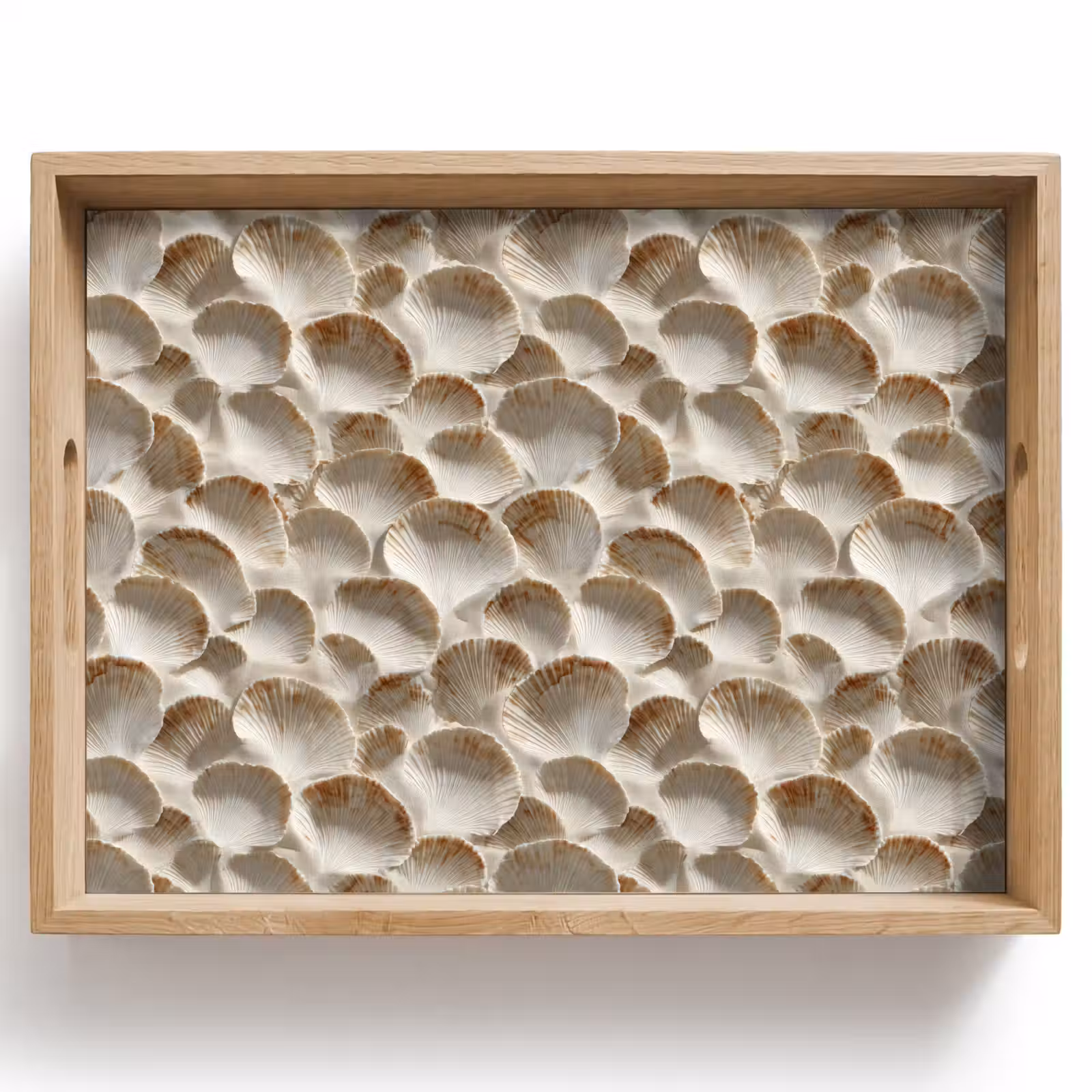 Dienblad - Schelpen - Waaiervorm - Wit — 1