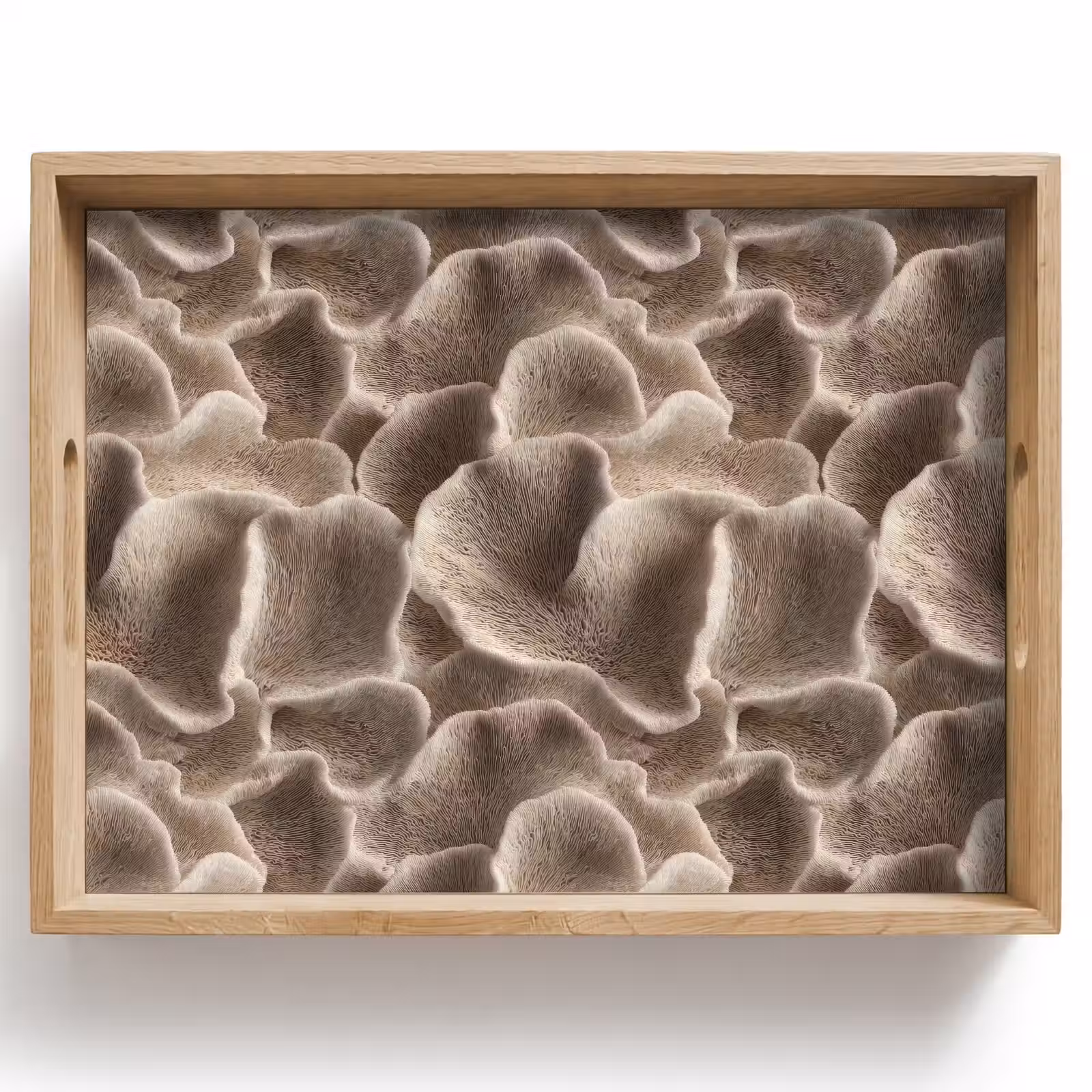 Dienblad - Waaiervorm - Beige - Vezel textuur — 1