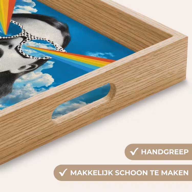 Dienblad - Vrouw - Bril - Regenboog - Wolken — 5