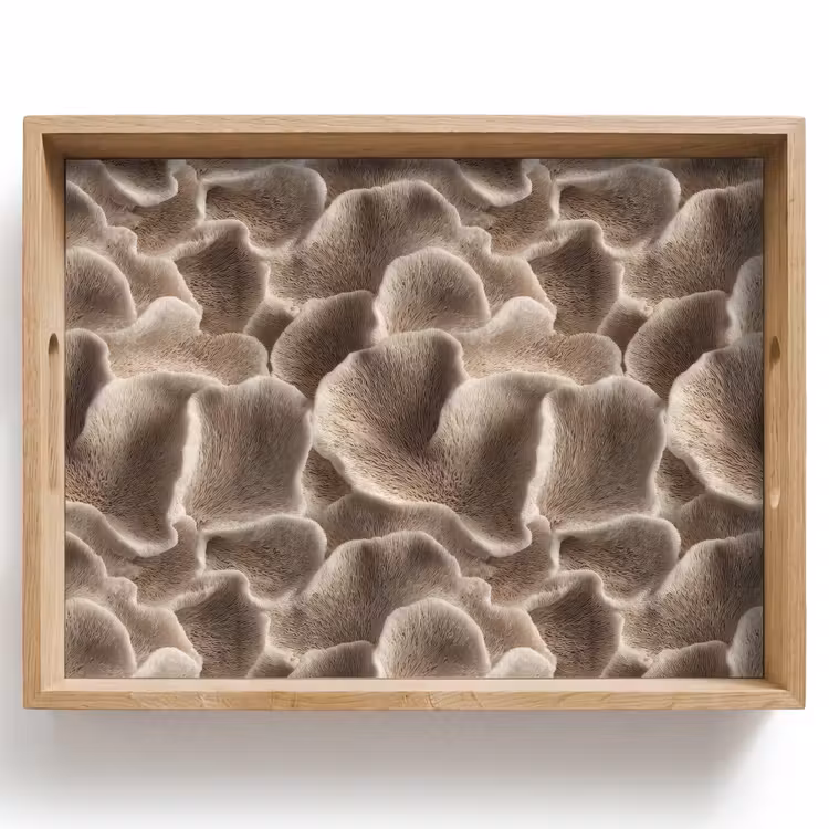 Dienblad - Waaiervorm - Beige - Vezel textuur — 1