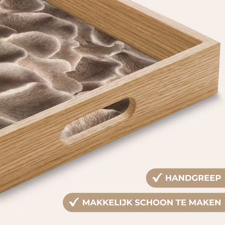 Dienblad - Waaiervorm - Beige - Vezel textuur — 5
