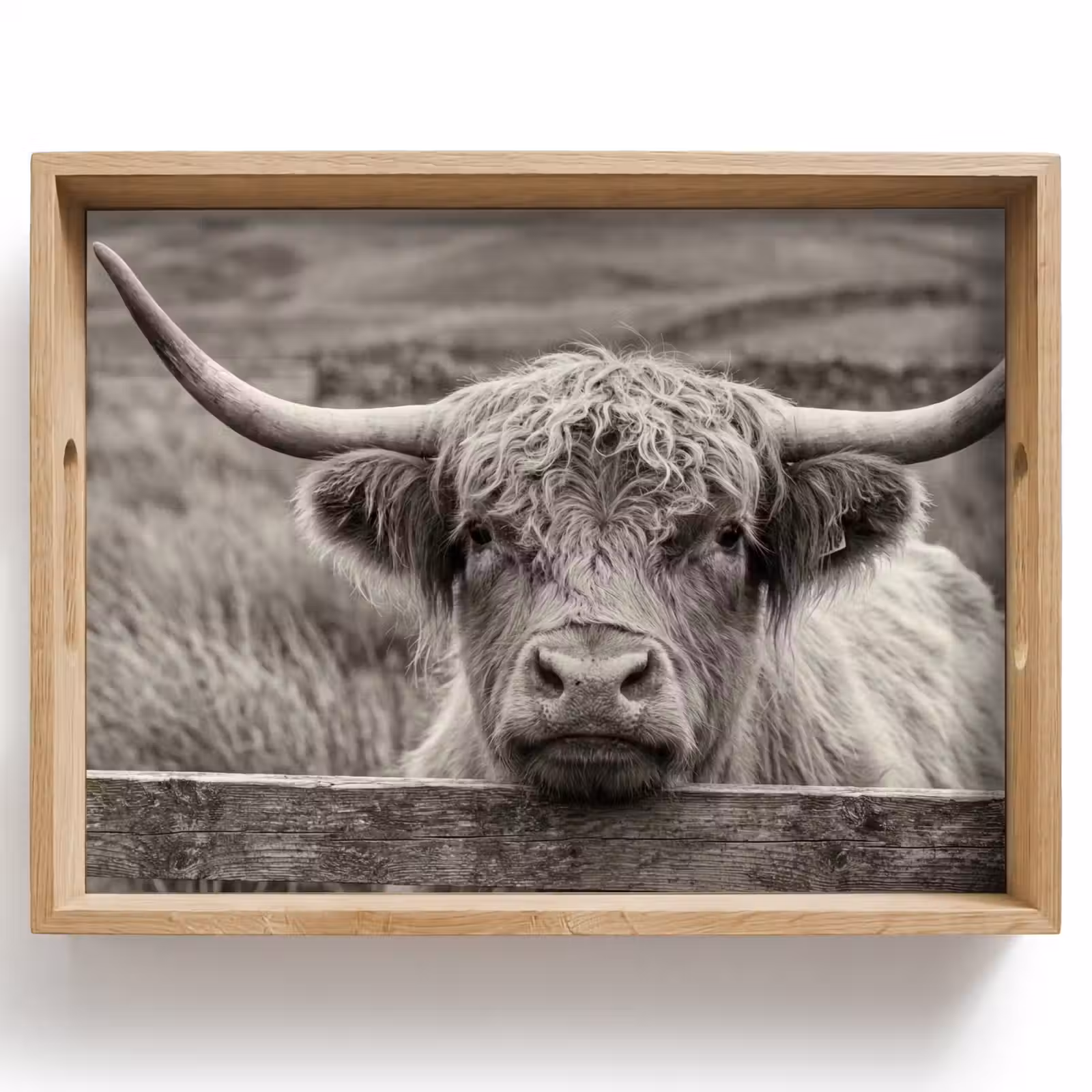 Dienblad - Schotse hooglander - Zwart - Wit - Hout — 1