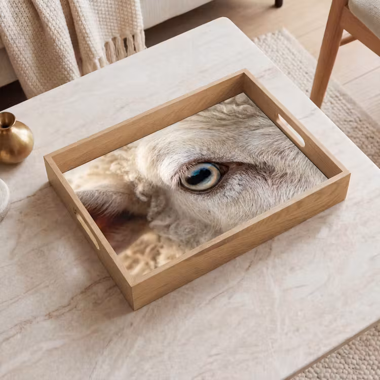 Dienblad - Schaap - Oog - Wit — 2