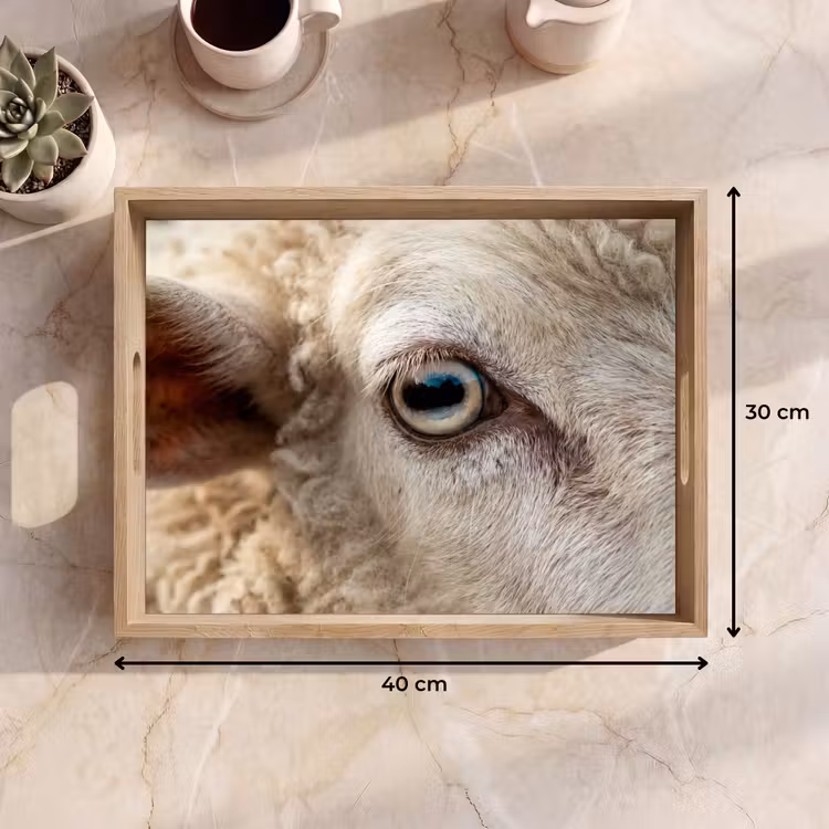 Dienblad - Schaap - Oog - Wit — 9