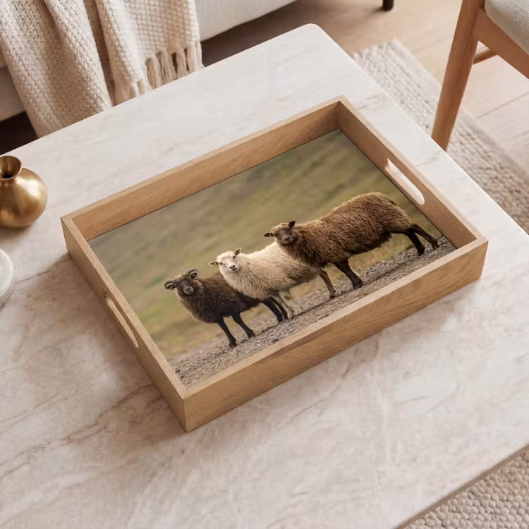 Dienblad - Schapen - Bruin - Wit - Grindpad — 2