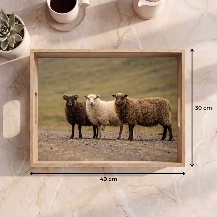 Dienblad - Schapen - Bruin - Wit - Grindpad — 9