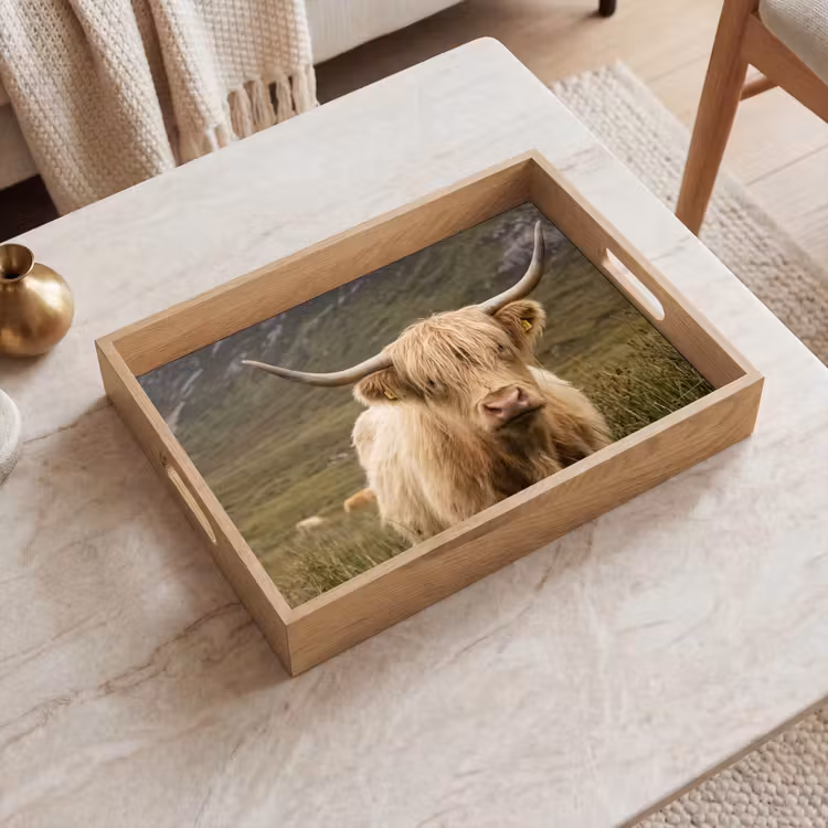 Dienblad - Schotse hooglander - Bergen - Grasveld — 2