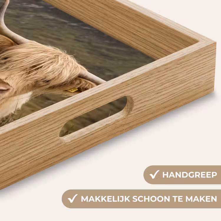 Dienblad - Schotse hooglander - Bergen - Grasveld — 5