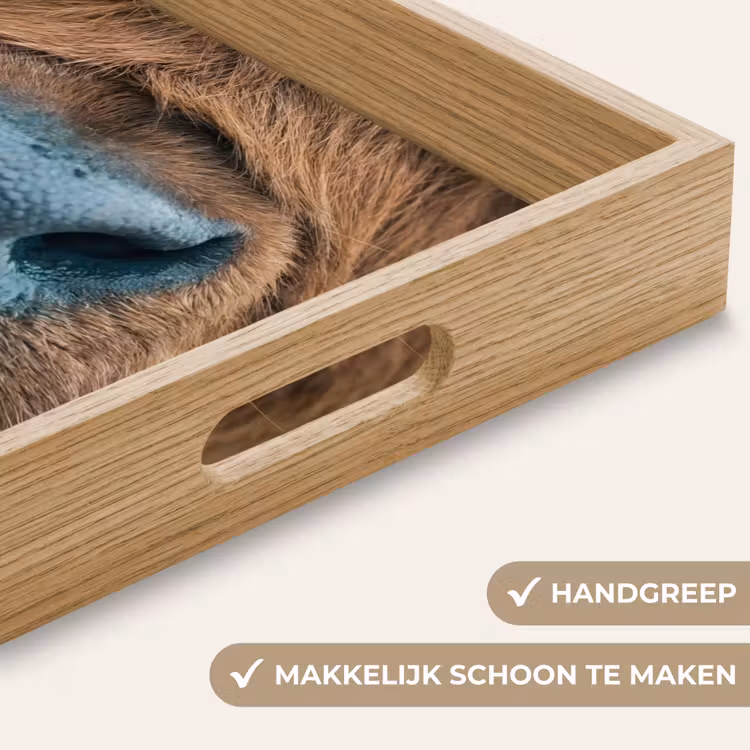 Dienblad - Schotse hooglander - Neus - Bruin — 5