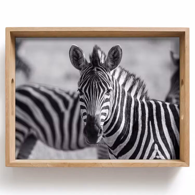 Dienblad - Zebra's - Zwart - Wit — 1