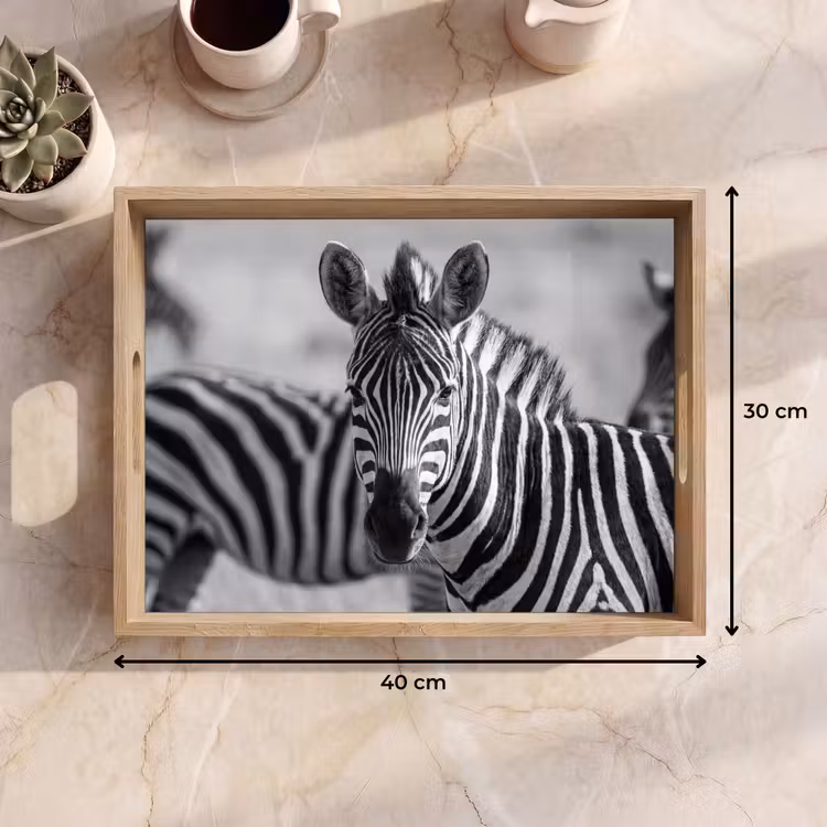 Dienblad - Zebra's - Zwart - Wit — 9