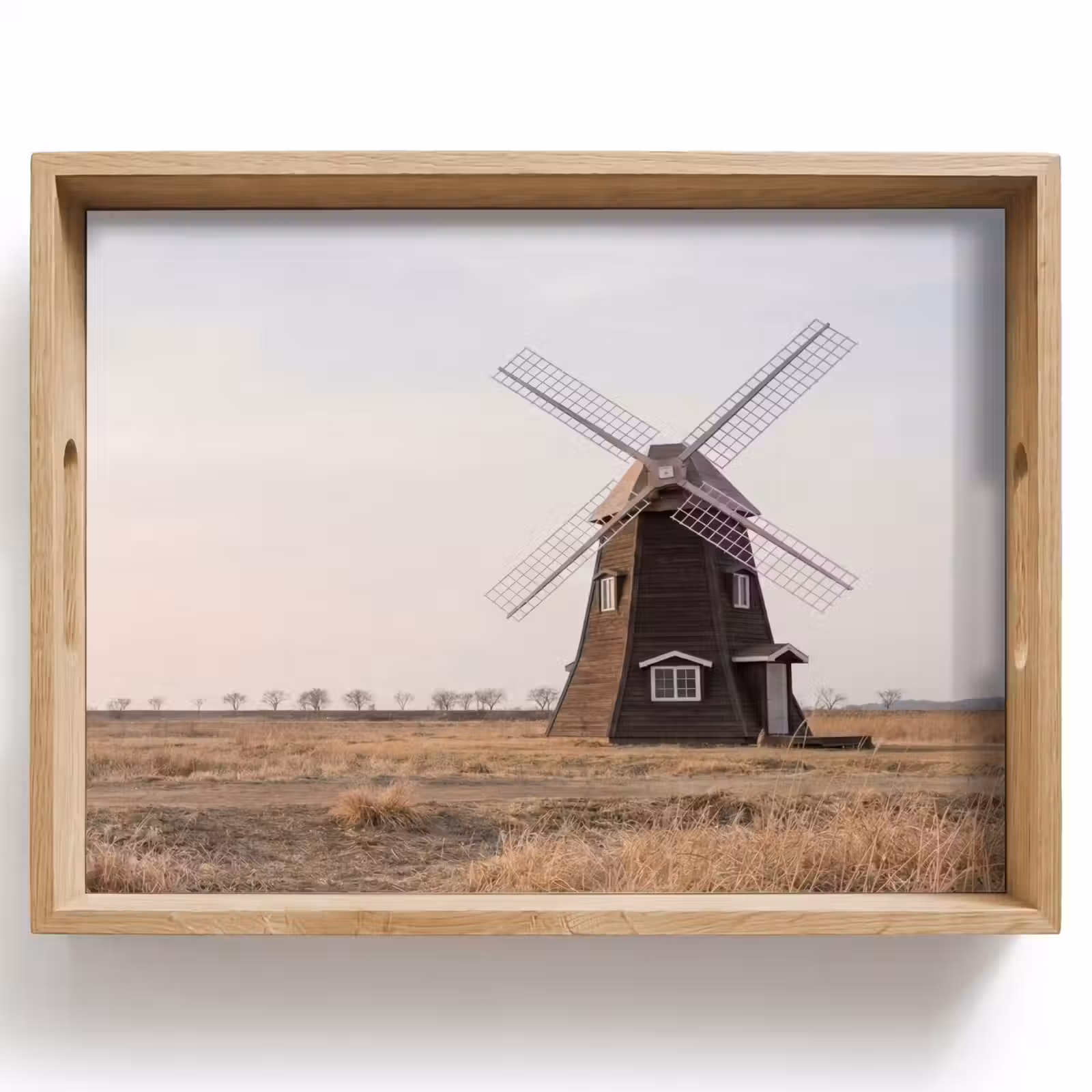 Dienblad - Windmolens - Landschap - Veld — 1