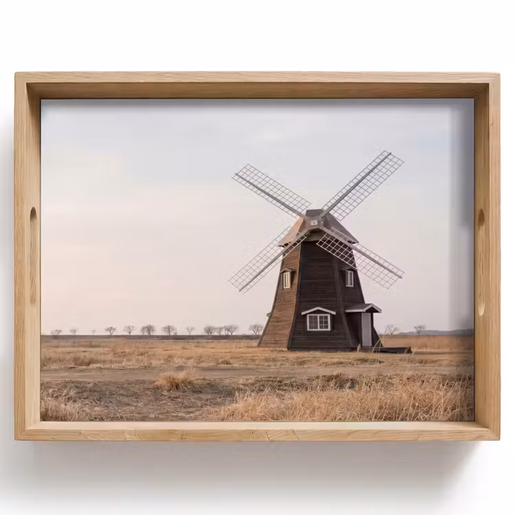 Dienblad - Windmolens - Landschap - Veld — 1