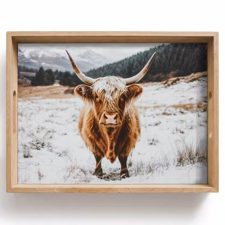 Dienblad - Schotse Hooglander - Landschap - Sneeuw - Bergen - Winter — 1