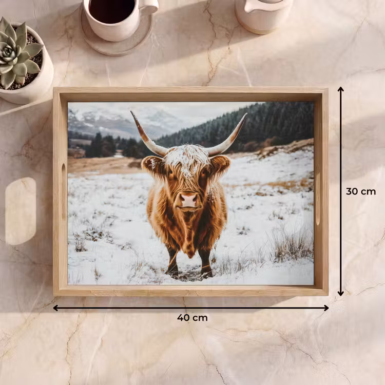 Dienblad - Schotse Hooglander - Landschap - Sneeuw - Bergen - Winter — 9