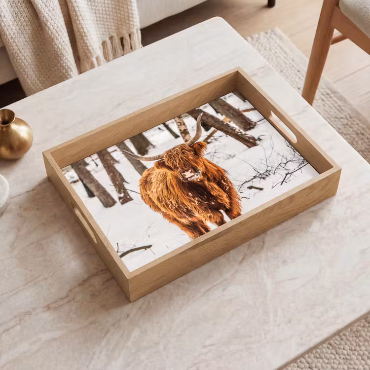 Dienblad - Schotse Hooglander - Sneeuw - Winter - Natuur - Dieren — 2