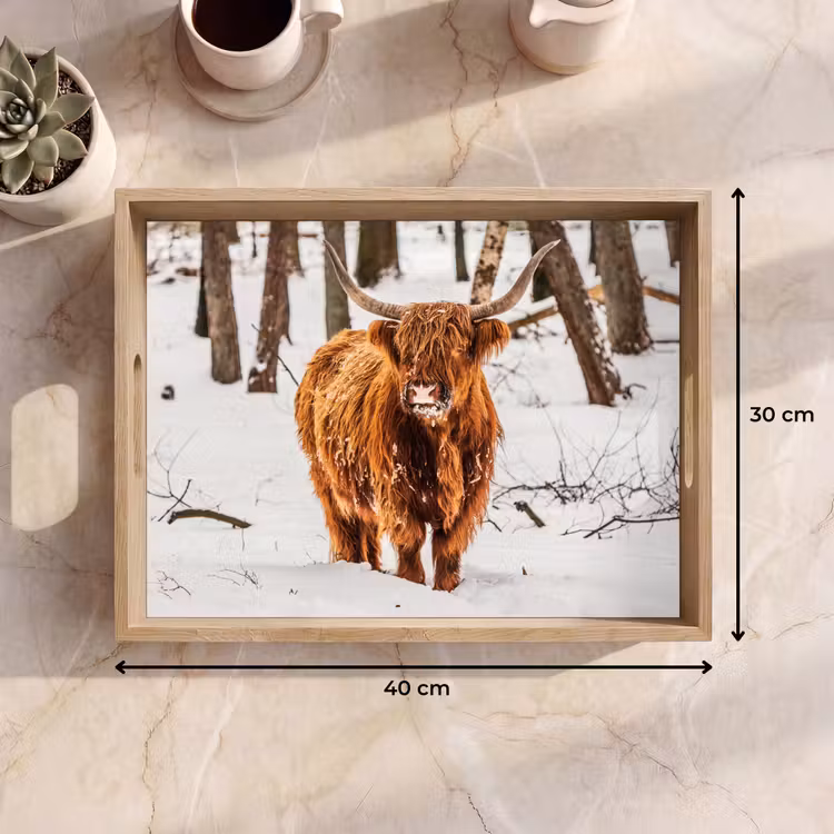 Dienblad - Schotse Hooglander - Sneeuw - Winter - Natuur - Dieren — 9