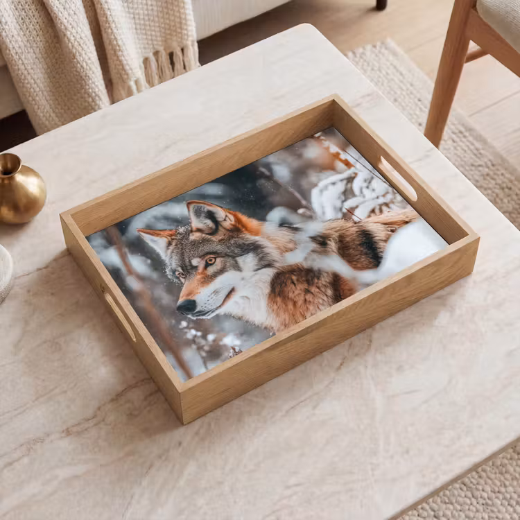 Dienblad - Wolf - Sneeuw - Winter - Dieren - Natuur - Sneeuw — 2