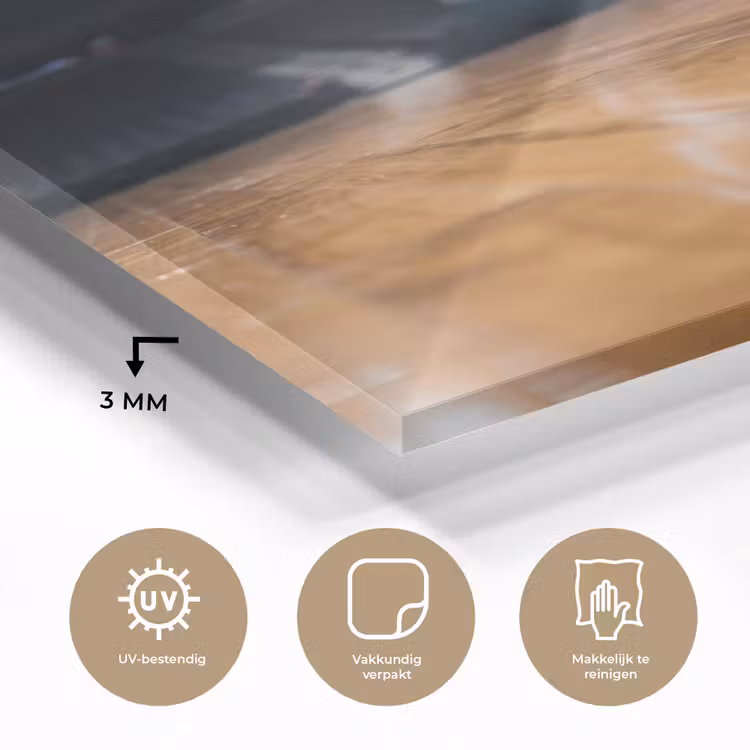 Glas schilderij - Basketbal - Arena - Sport — 3