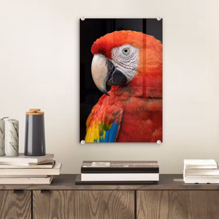 Glas schilderij - Ara - Portret - Rood — 2