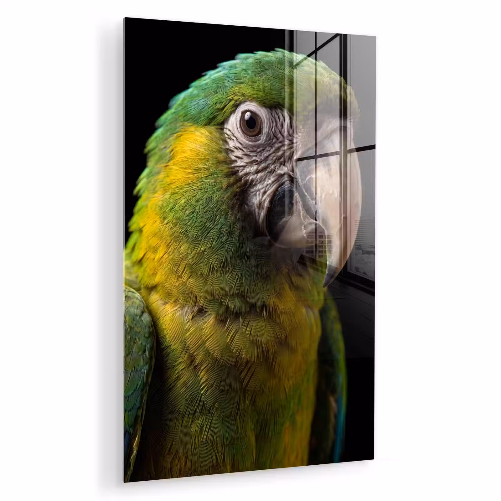 Glas schilderij - Ara - Portret - Groen — 1