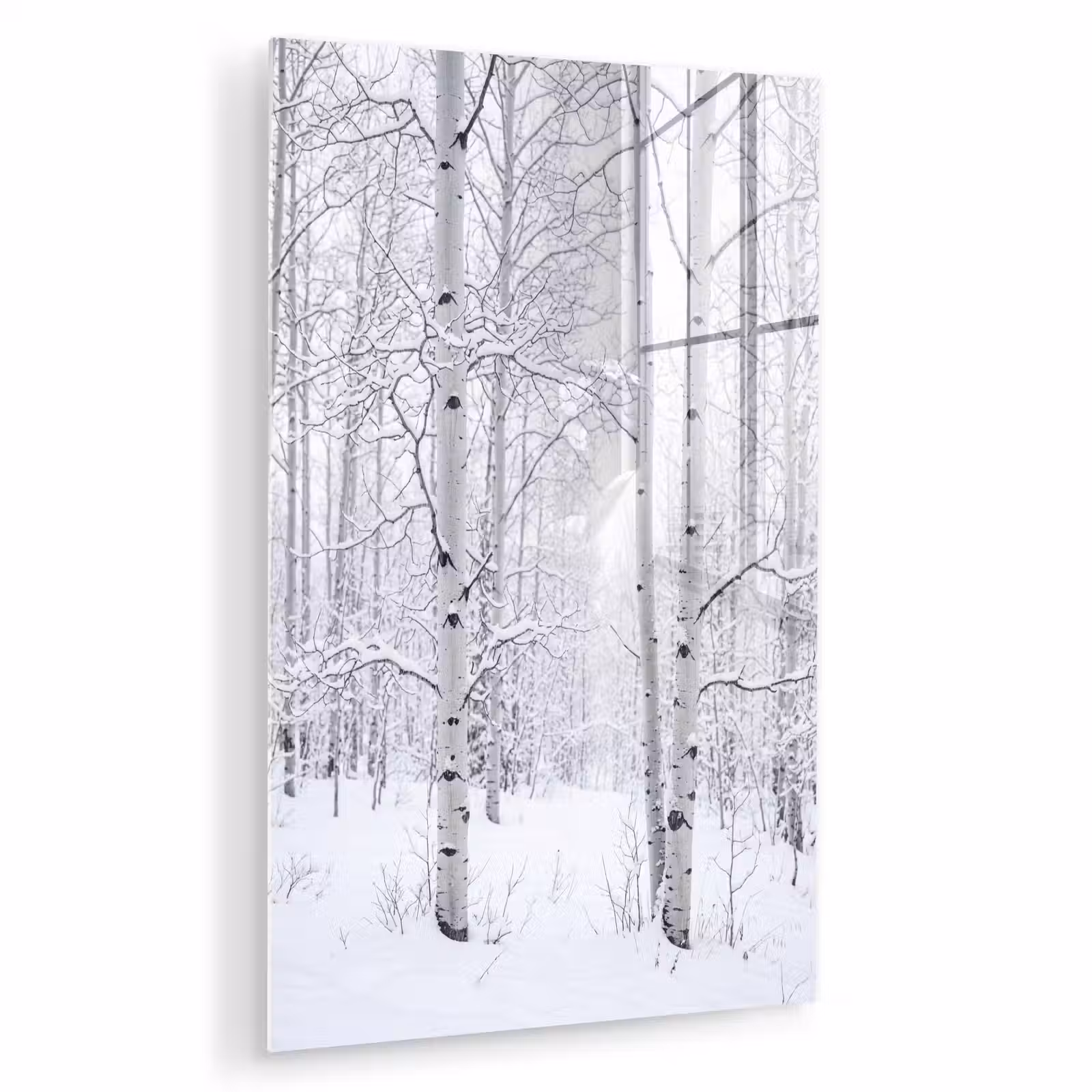 Glas schilderij - Berkenbomen - Sneeuw - Winter - Bos - Wit — 1