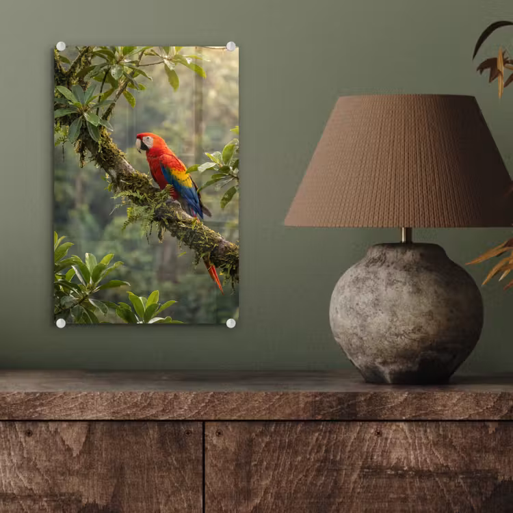 Glas schilderij - Ara - Jungle - Rood — 4