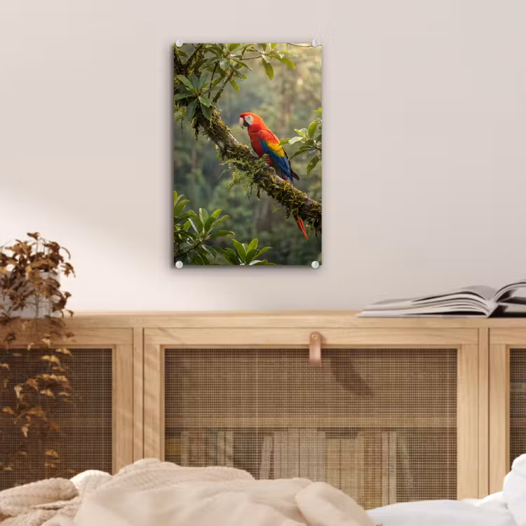 Glas schilderij - Ara - Jungle - Rood — 5