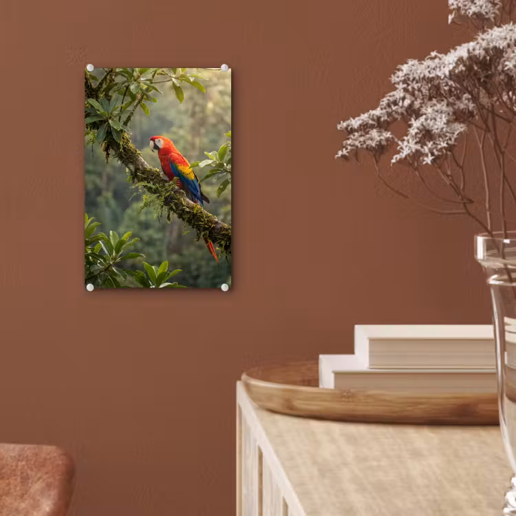 Glas schilderij - Ara - Jungle - Rood — 6