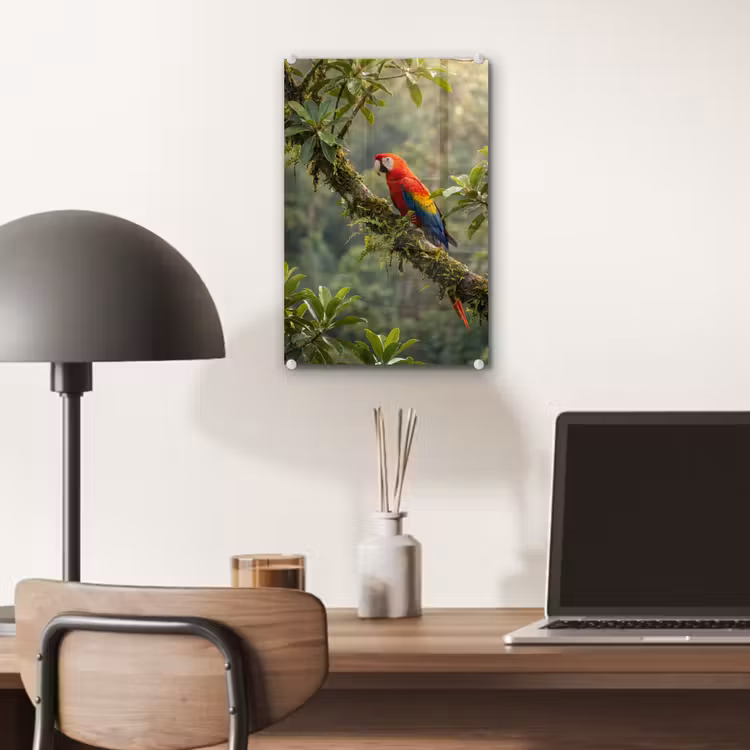 Glas schilderij - Ara - Jungle - Rood — 7