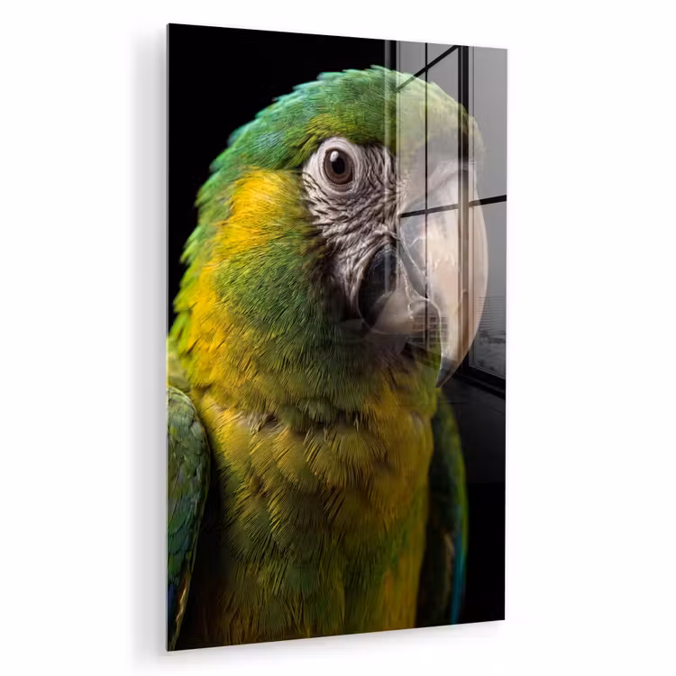 Glas schilderij - Ara - Portret - Groen — 1
