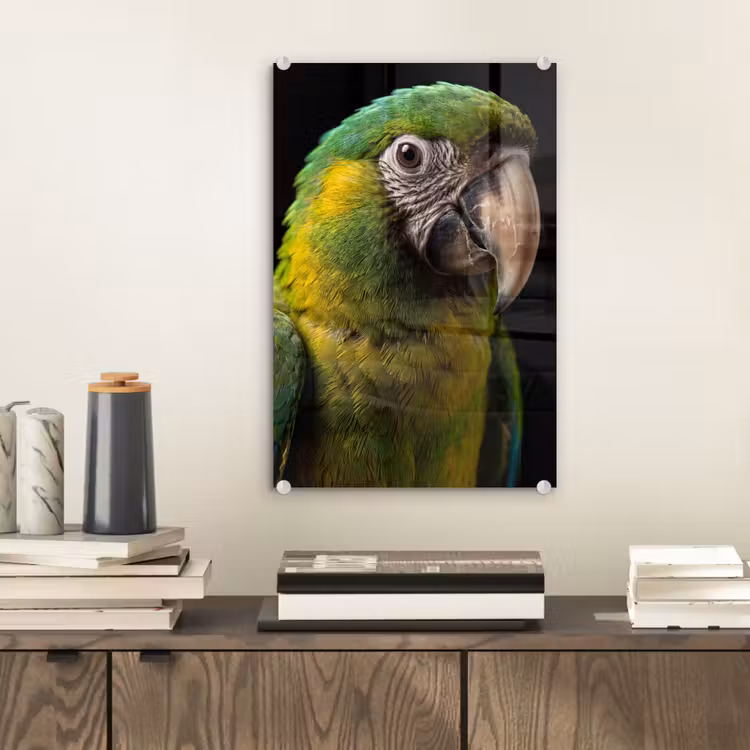 Glas schilderij - Ara - Portret - Groen — 2