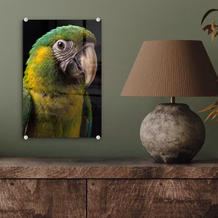 Glas schilderij - Ara - Portret - Groen — 4