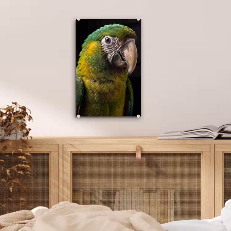 Glas schilderij - Ara - Portret - Groen — 5