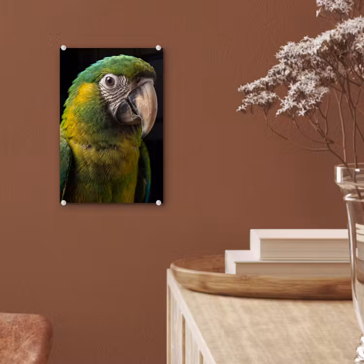 Glas schilderij - Ara - Portret - Groen — 6