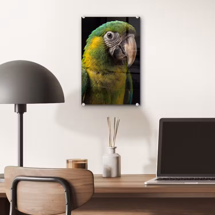 Glas schilderij - Ara - Portret - Groen — 7
