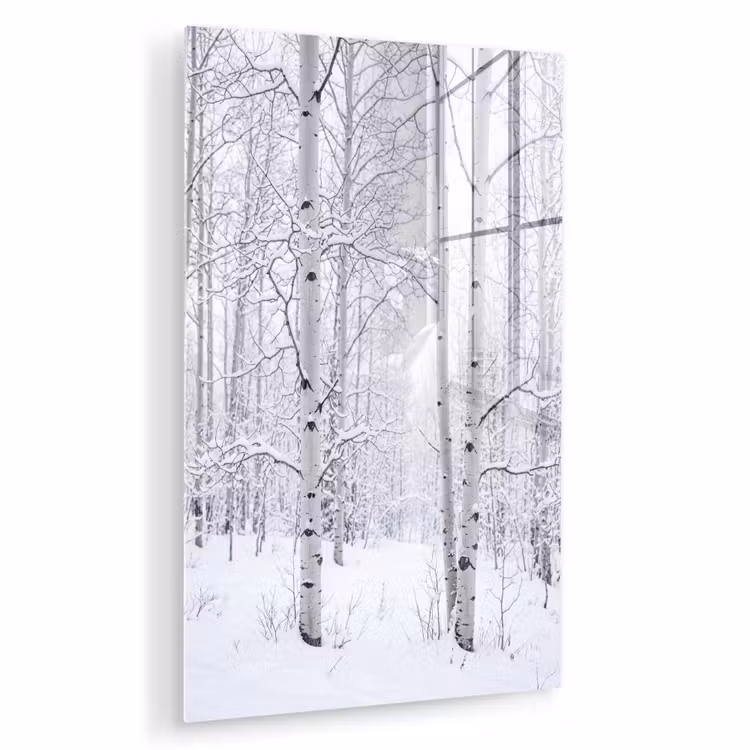 Glas schilderij - Berkenbomen - Sneeuw - Winter - Bos - Wit — 1