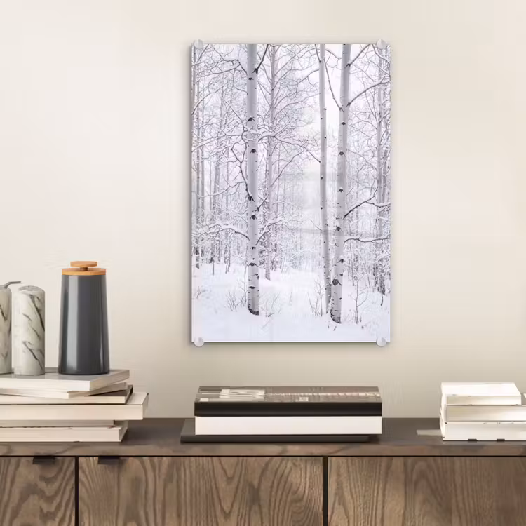Glas schilderij - Berkenbomen - Sneeuw - Winter - Bos - Wit — 2