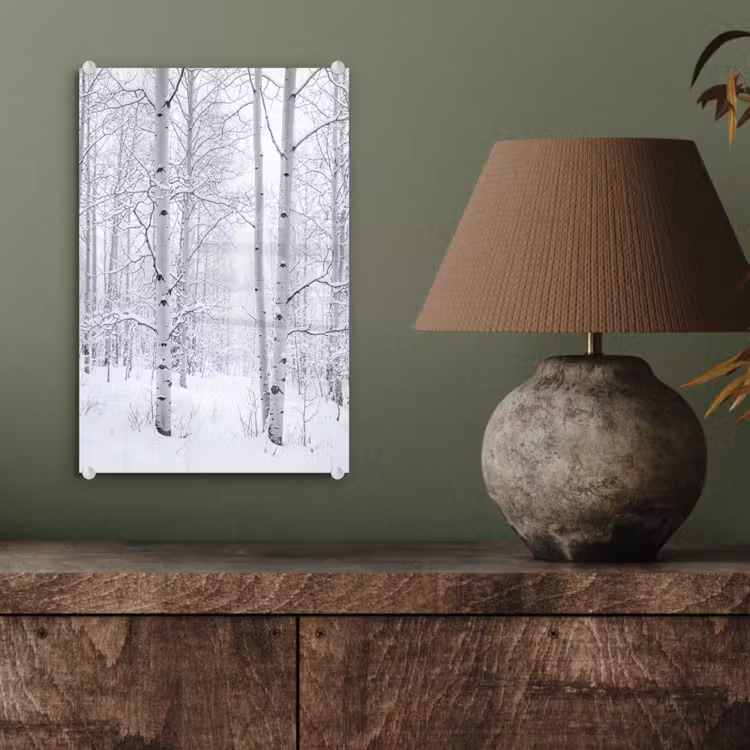 Glas schilderij - Berkenbomen - Sneeuw - Winter - Bos - Wit — 4