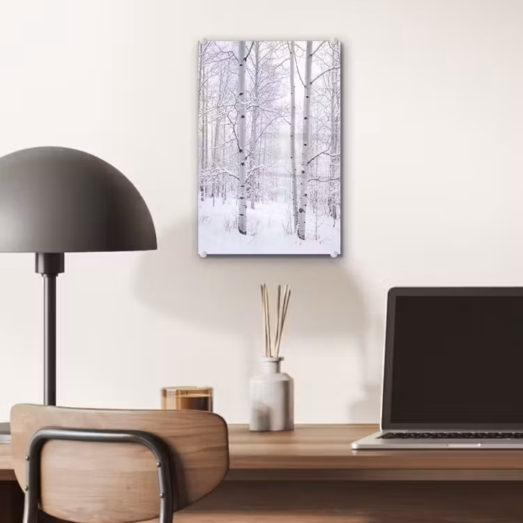 Glas schilderij - Berkenbomen - Sneeuw - Winter - Bos - Wit — 7